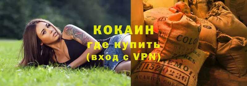 как найти   Зверево  Кокаин Боливия 